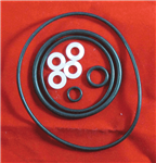 ARG-1 GASKET REPAIR KIT